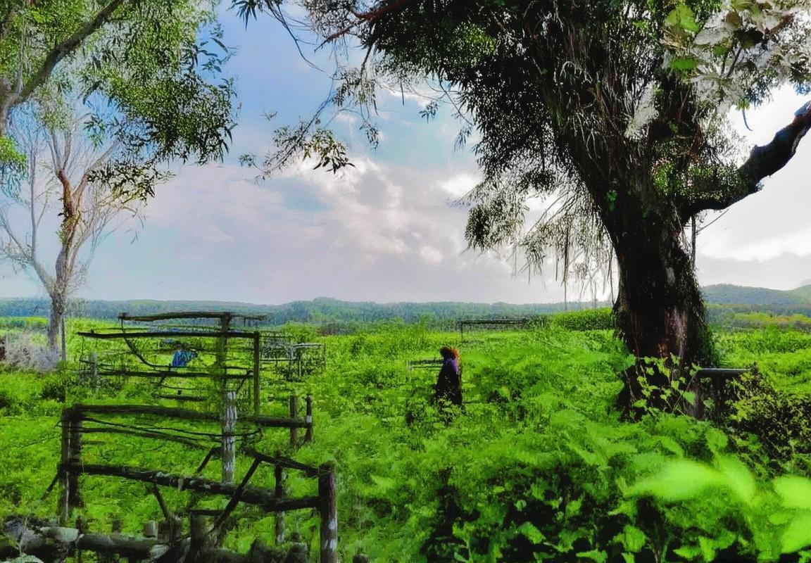 瓜迪奥拉欧冠淘汰赛神奇换人术：七次关键调整改写历史(图2)